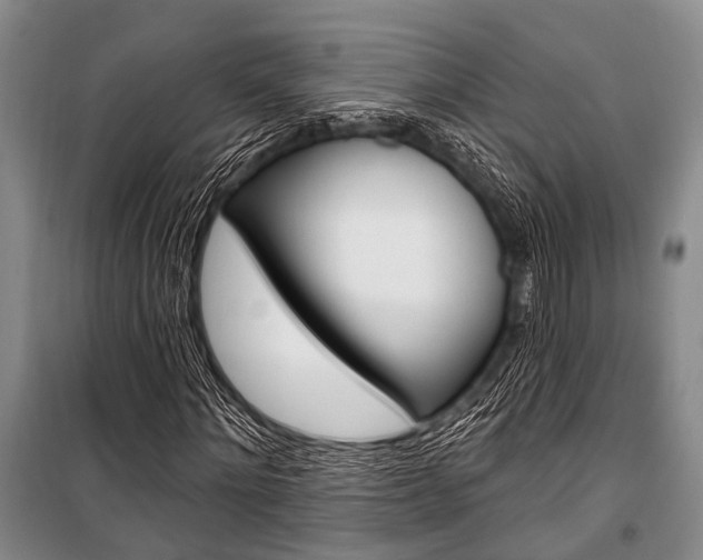 X0000101210868200806270852