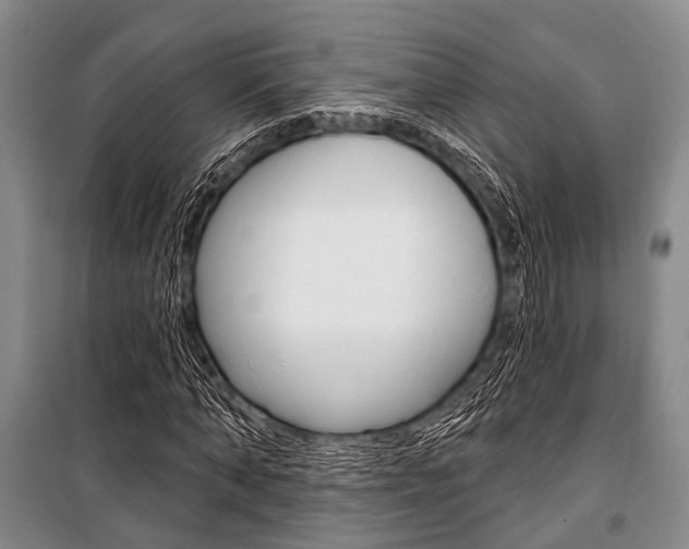 X0000101210870200806270852