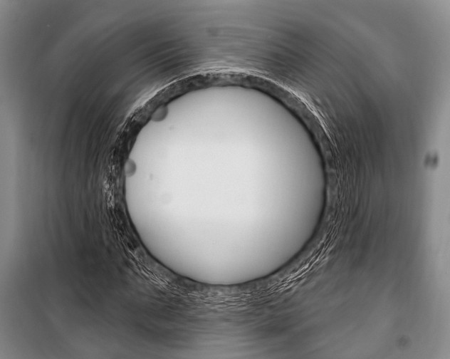 X0000101210871200806270852