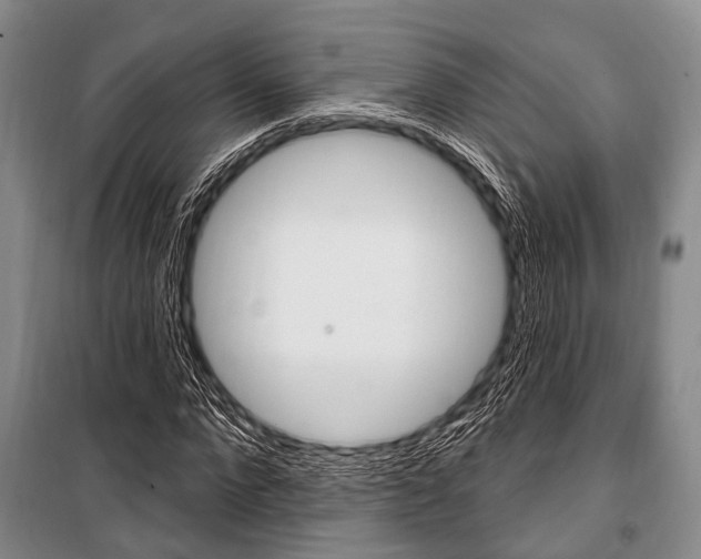 X0000101210872200806270851