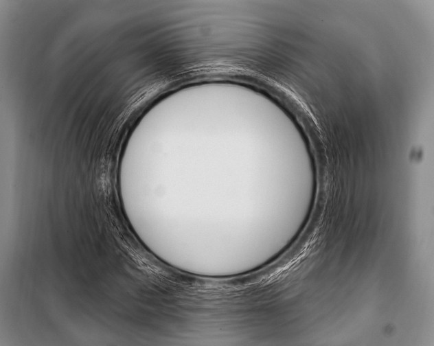 X0000101210873200806270851