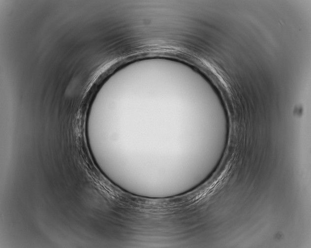 X0000101210875200806270851