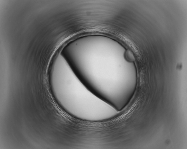 X0000101210876200806270851