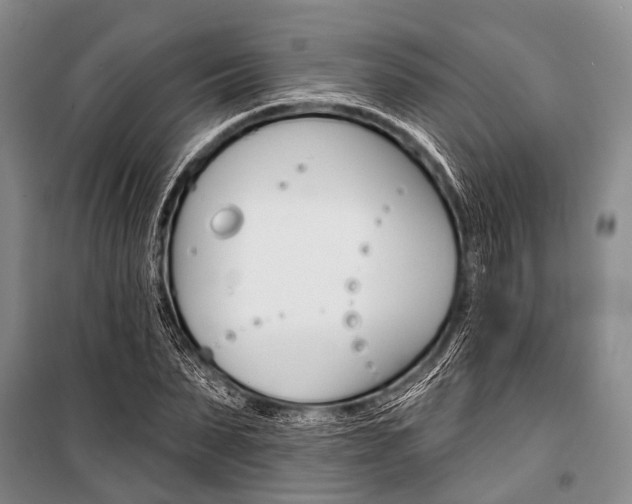 X0000101210879200806270851