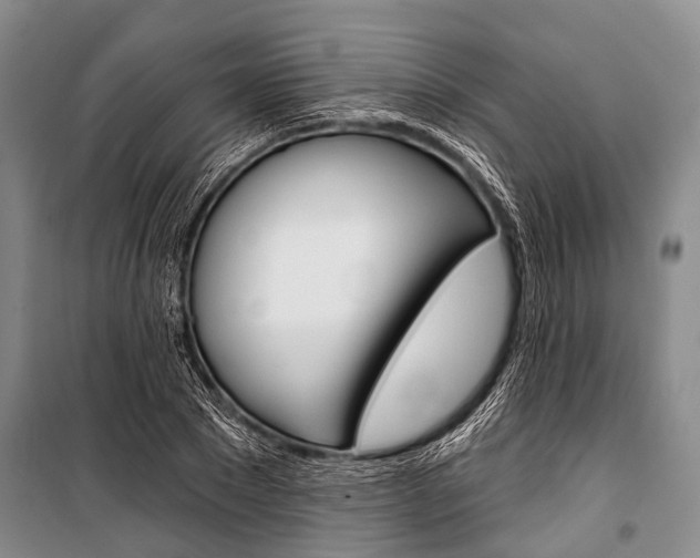 X0000101210881200806270851