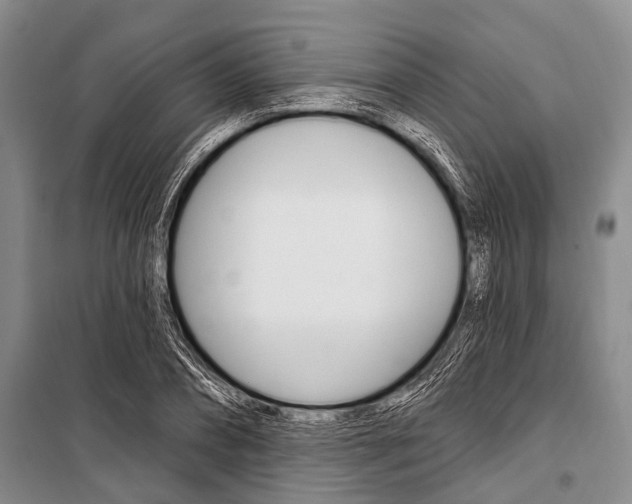 X0000101210882200806270851