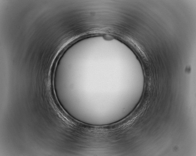 X0000101210884200806270851