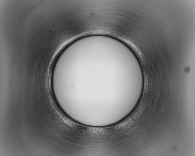X0000101210886200806270851