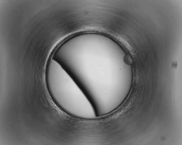 X0000101210888200806270851