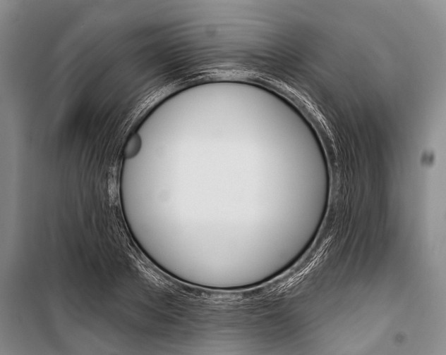 X0000101210889200806270851