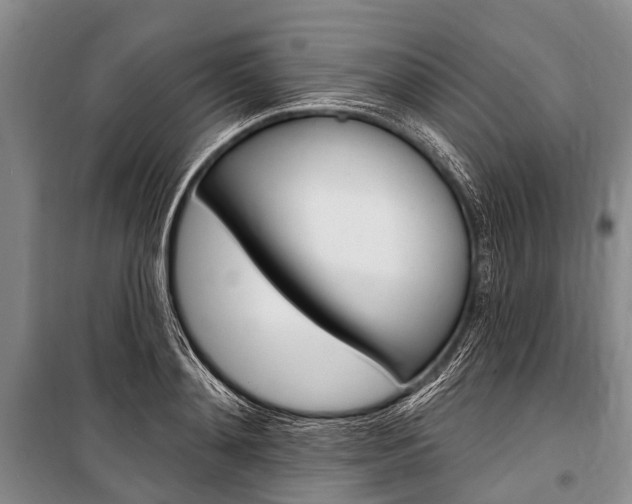 X0000101210892200806270851