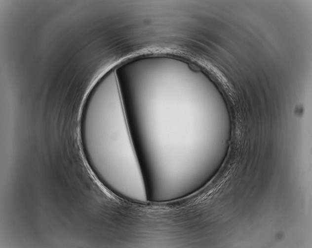 X0000101210894200806270851