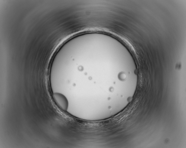 X0000101210895200806270851