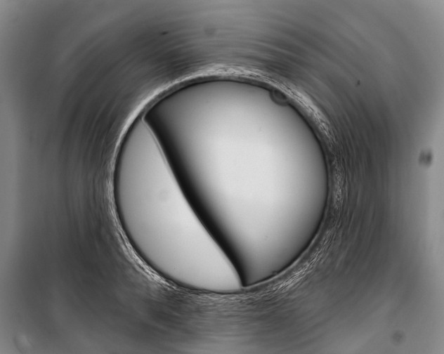 X0000101210896200806270851