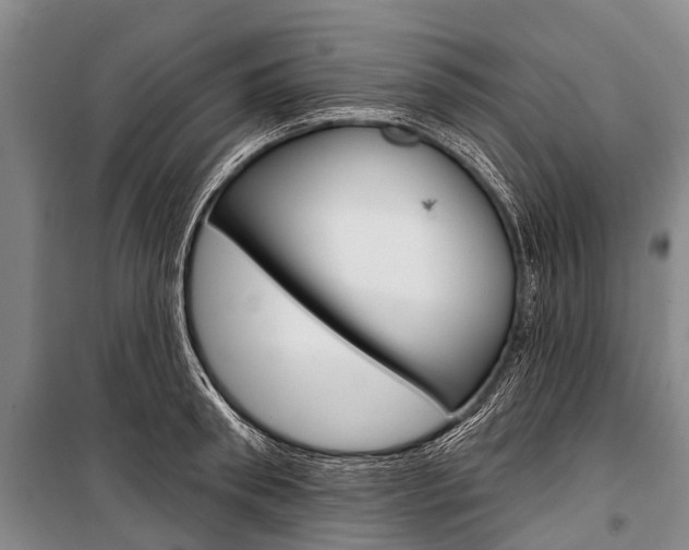 X0000101210898200806270851