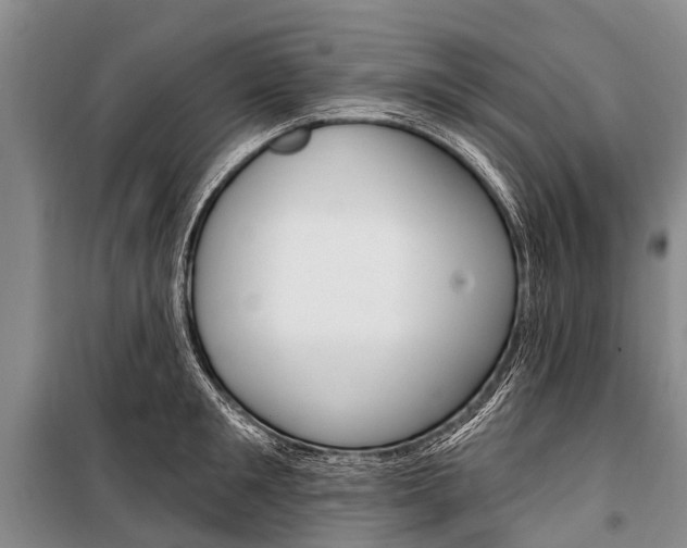 X0000101210901200806270851