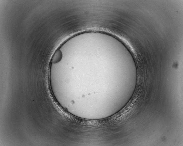 X0000101210903200806270851