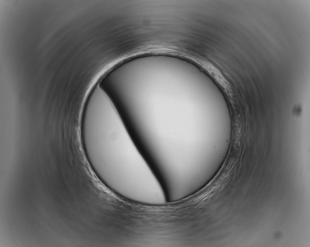 X0000101210904200806270851