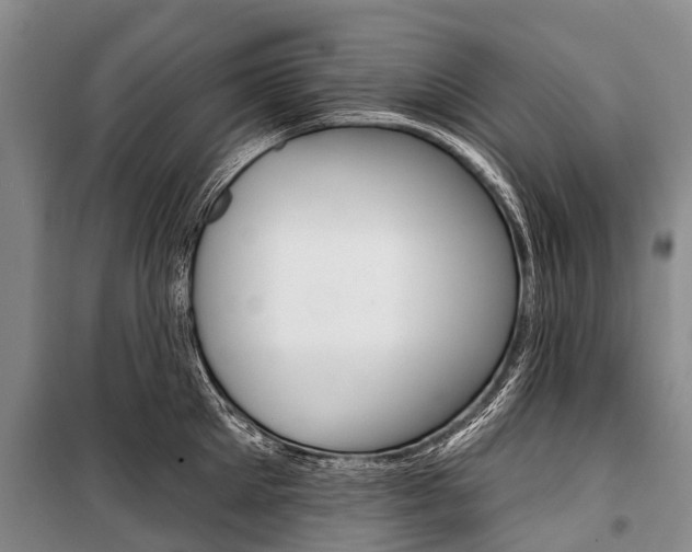 X0000101210905200806270851