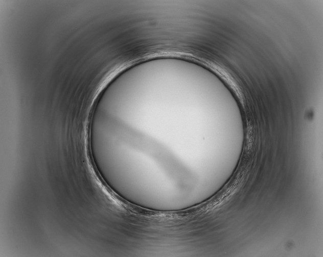 X0000101210906200806270851