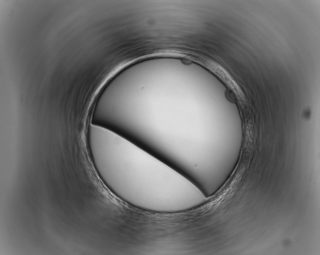 X0000101210908200806270851