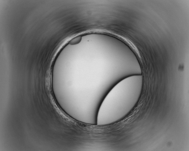 X0000101210911200806270851