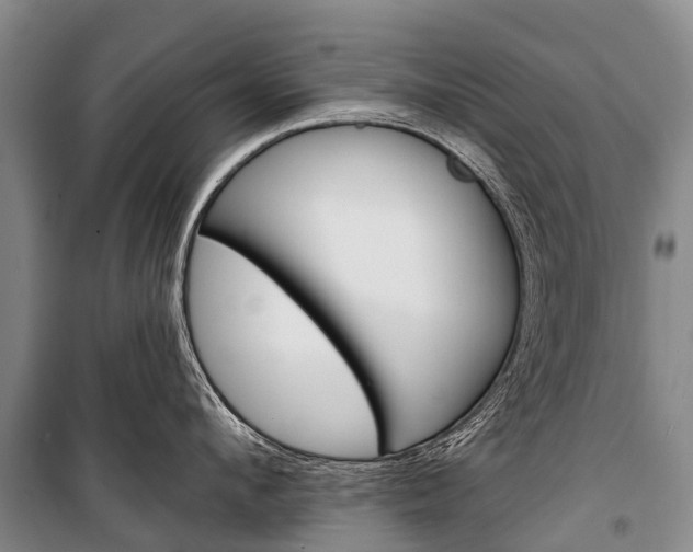 X0000101210912200806270851