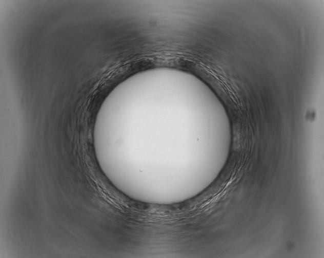 X0000101210913200806270850