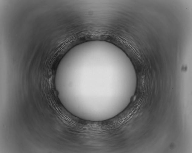 X0000101210914200806270850