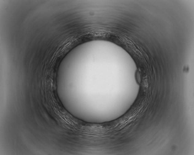 X0000101210916200806270850