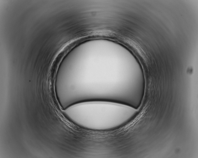 X0000101210923200806270850