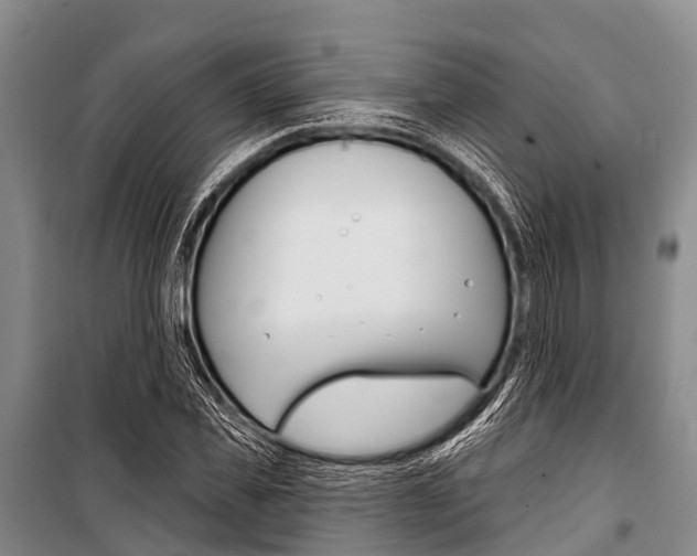 X0000101210925200806270850