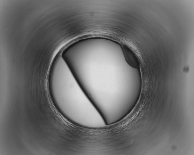 X0000101210928200806270850