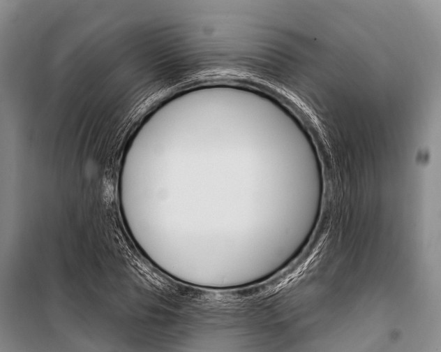 X0000101210929200806270850