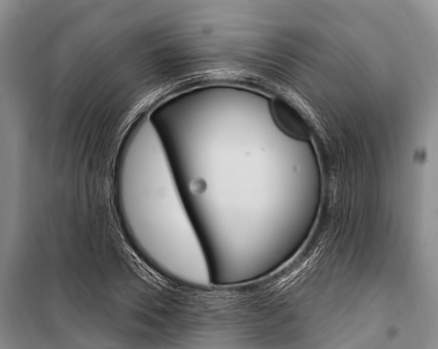 X0000101210930200806270850