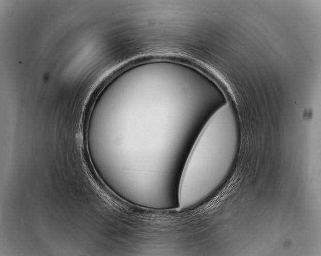 X0000101210935200806270850