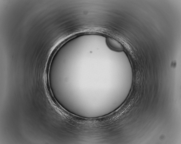 X0000101210936200806270850