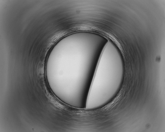 X0000101210938200806270850