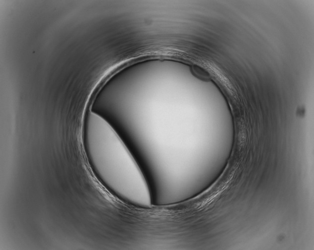 X0000101210940200806270850