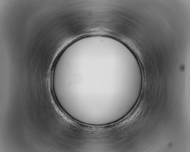 X0000101210941200806270851