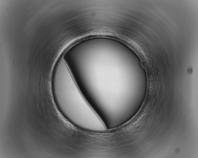 X0000101210942200806270851