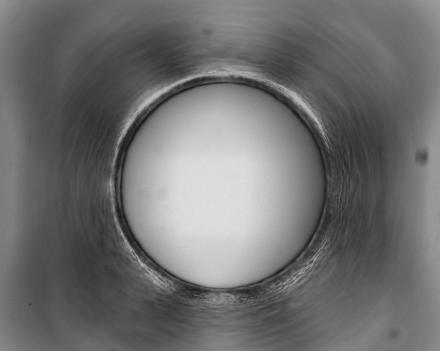 X0000101210943200806270851