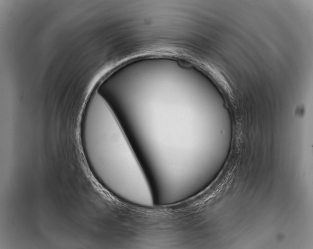 X0000101210944200806270851