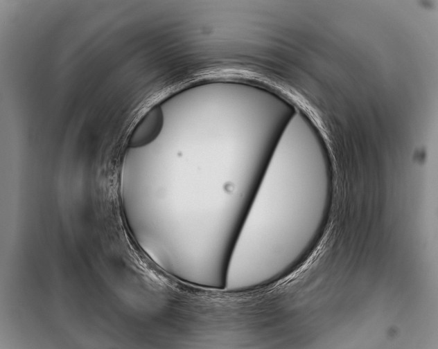 X0000101210945200806270851
