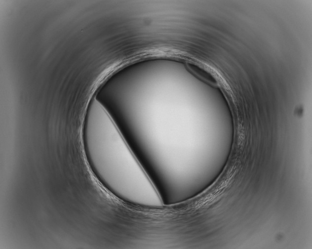 X0000101210946200806270851