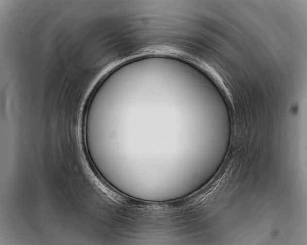 X0000101210947200806270851