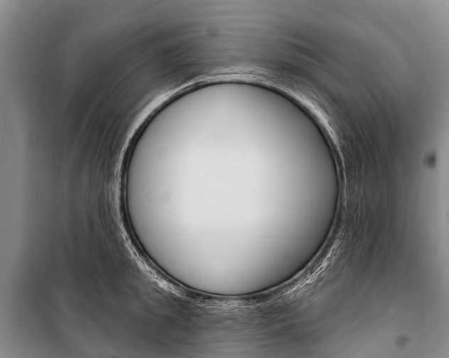 X0000101210949200806270851