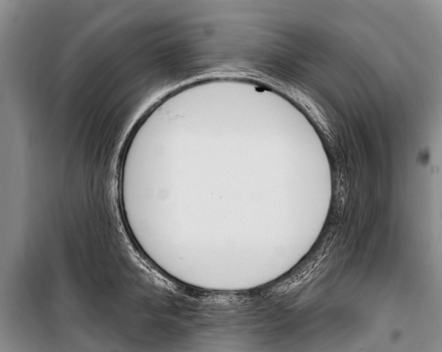 X0000101210950200806270851