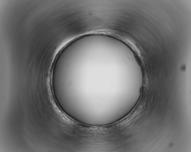 X0000101210952200806270851