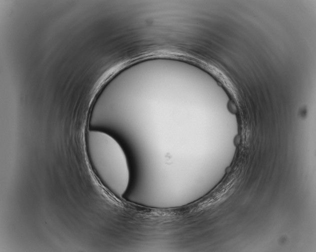 X0000101210954200806270851